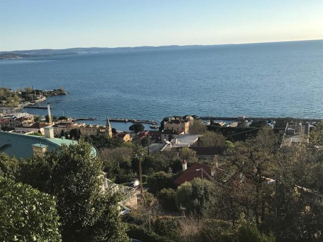 Trieste Sea Life 외부 사진
